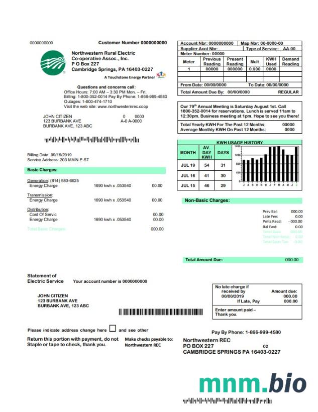 USA Northwestern Rural Electric rachunek za media szablon, w pełni edytowalny w formacie Word i PDF